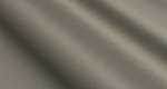 Grampian GP041 Doe