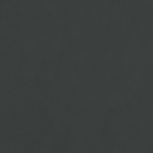 Caledonian SX027 Black